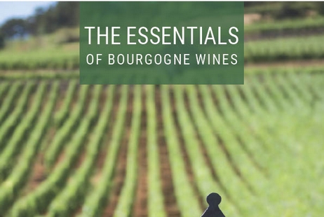 The essentials of Bourgogne wines- English version